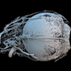 Credit: Peter M Maloca, OCTlab at the University of Basel and Moorfields Eye Hospital, London; Christian Schwaller; Ruslan Hlushchuk, University of Bern; Sébastien Barré
